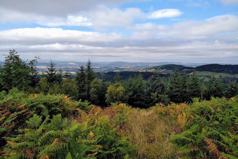 Mortimer Forest