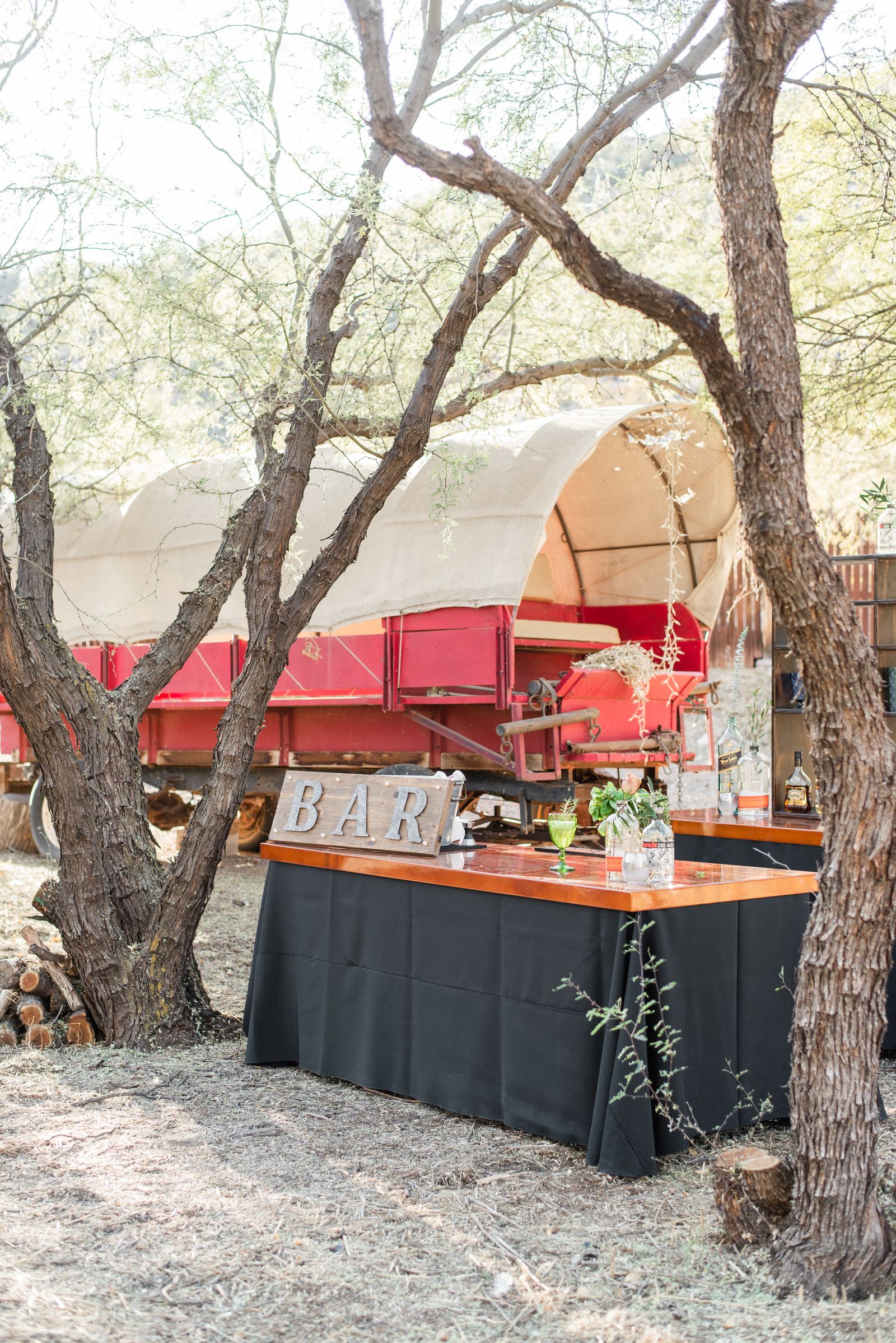 A converted horsebox bar with cocktails on a wooden counter, set up in a sunny courtyard under trees
